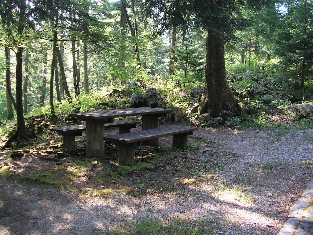 Camping Pivka Jama Postojna Kültér fotó